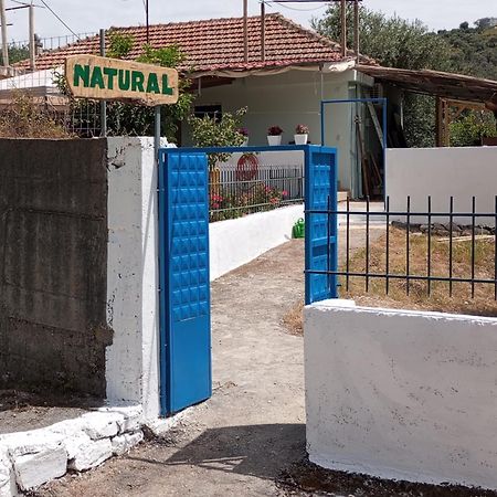 Natural Hostel Himarë Exteriér fotografie